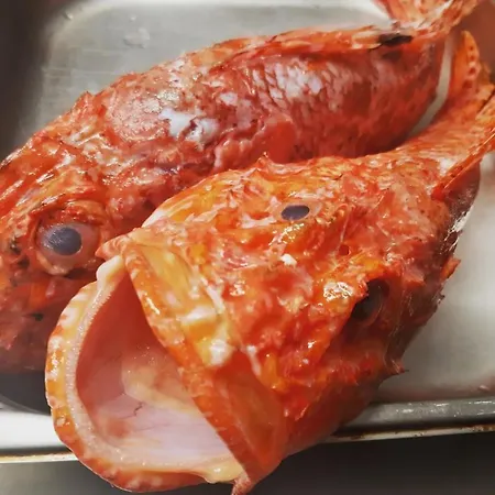 Lustincone باتريمونيو